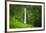 Akaka Falls, Akaka Falls State Park, The Big Island, Hawaii, USA-Russ Bishop-Framed Photographic Print