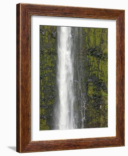 Akaka Falls, Hamakua Coast, Hawaii, USA-Savanah Stewart-Framed Photographic Print