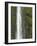 Akaka Falls, Hamakua Coast, Hawaii, USA-Savanah Stewart-Framed Photographic Print