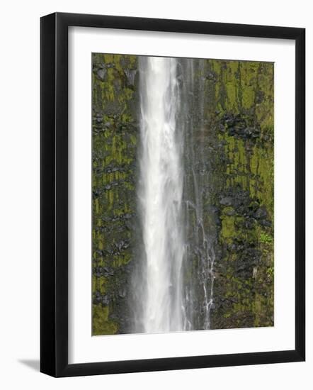 Akaka Falls, Hamakua Coast, Hawaii, USA-Savanah Stewart-Framed Photographic Print