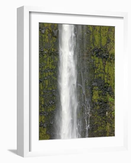 Akaka Falls, Hamakua Coast, Hawaii, USA-Savanah Stewart-Framed Photographic Print