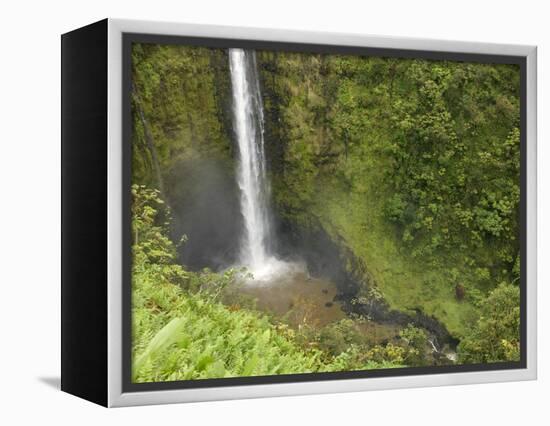 Akaka Falls, Hamakua Coast, Hawaii, USA-Savanah Stewart-Framed Premier Image Canvas