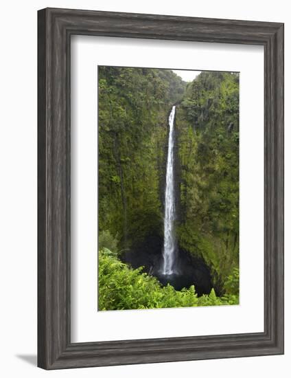 Akaka Falls, Hawaii, Big Island-Gayle Harper-Framed Photographic Print