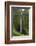 Akaka Falls, Hawaii, Big Island-Gayle Harper-Framed Photographic Print