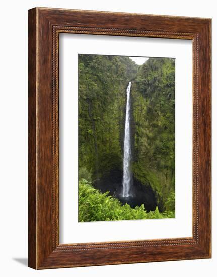 Akaka Falls, Hawaii, Big Island-Gayle Harper-Framed Photographic Print