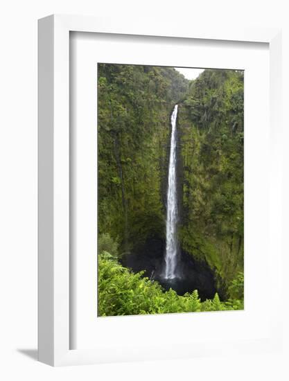 Akaka Falls, Hawaii, Big Island-Gayle Harper-Framed Photographic Print