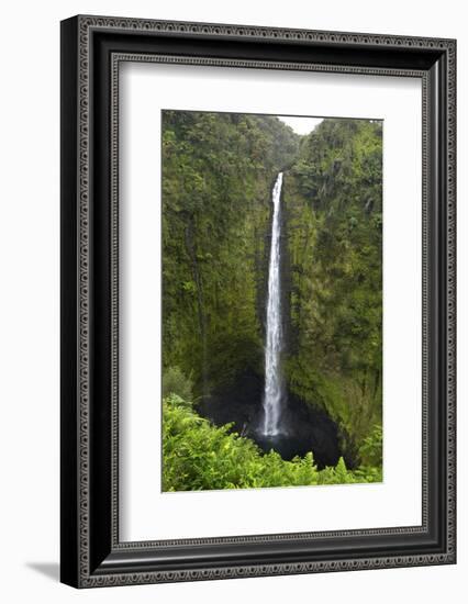 Akaka Falls, Hawaii, Big Island-Gayle Harper-Framed Photographic Print