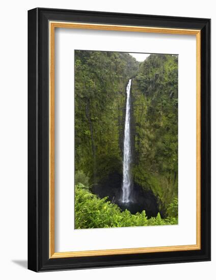 Akaka Falls, Hawaii, Big Island-Gayle Harper-Framed Photographic Print