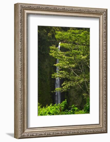 Akaka Falls, Hilo, Hawaii-Maresa Pryor-Framed Photographic Print