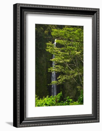 Akaka Falls, Hilo, Hawaii-Maresa Pryor-Framed Photographic Print