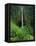 Akaka Falls-Joseph Sohm-Framed Premier Image Canvas