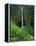 Akaka Falls-Joseph Sohm-Framed Premier Image Canvas