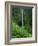 Akaka Falls-Joseph Sohm-Framed Photographic Print