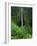 Akaka Falls-Joseph Sohm-Framed Photographic Print