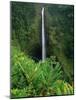 Akaka Falls-Joseph Sohm-Mounted Photographic Print