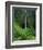 Akaka Falls-Joseph Sohm-Framed Photographic Print