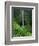 Akaka Falls-Joseph Sohm-Framed Photographic Print