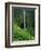 Akaka Falls-Joseph Sohm-Framed Photographic Print