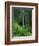 Akaka Falls-Joseph Sohm-Framed Photographic Print