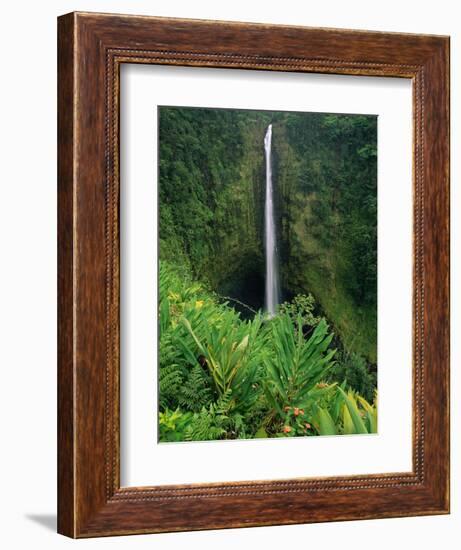 Akaka Falls-Joseph Sohm-Framed Photographic Print