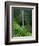 Akaka Falls-Joseph Sohm-Framed Photographic Print