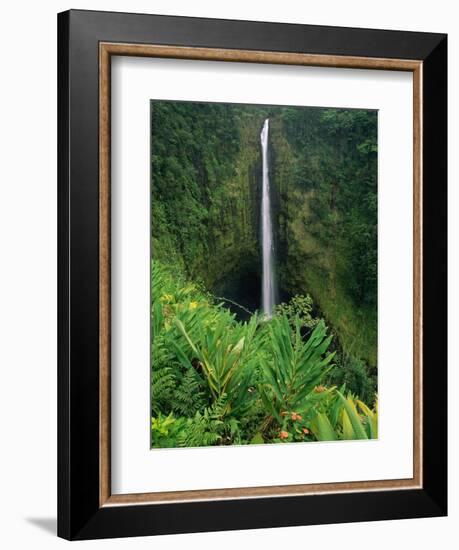 Akaka Falls-Joseph Sohm-Framed Photographic Print