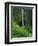 Akaka Falls-Joseph Sohm-Framed Photographic Print