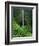 Akaka Falls-Joseph Sohm-Framed Photographic Print