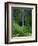 Akaka Falls-Joseph Sohm-Framed Photographic Print