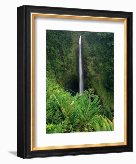 Akaka Falls-Joseph Sohm-Framed Photographic Print