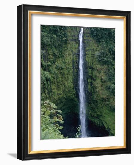 Akaka Falls-Danny Lehman-Framed Photographic Print