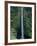 Akaka Falls-Danny Lehman-Framed Photographic Print