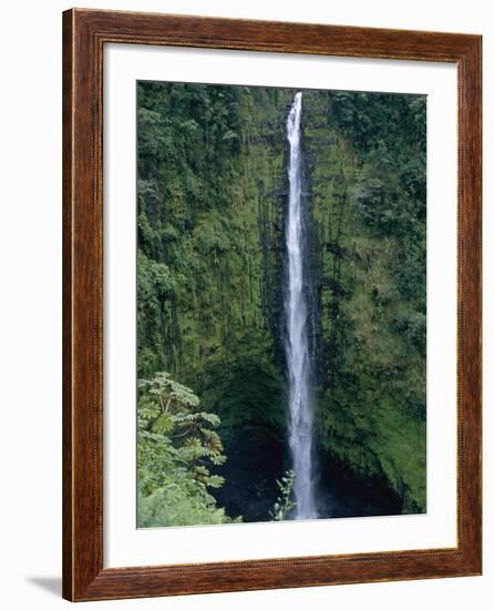 Akaka Falls-Danny Lehman-Framed Photographic Print