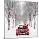 Premium Photographic Print