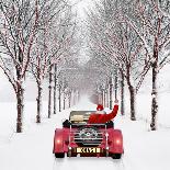 Avenue of Trees with Father Christmas Driving-Ake Lindau and John Daniels-Framed Premier Image Canvas