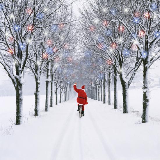 Photographic Print, , large