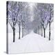 Stretched Canvas Print