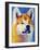 Akita - Apricot-Dawgart-Framed Giclee Print