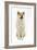 Akita Inu-null-Framed Photographic Print