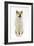 Akita Inu-null-Framed Photographic Print