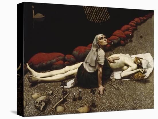 Stretched Canvas Print, , large