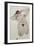 Akt-Egon Schiele-Framed Giclee Print