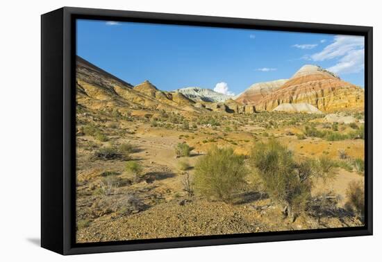 Aktau Mountains, Altyn-Emel National Park, Almaty region, Kazakhstan, Central Asia, Asia-G&M Therin-Weise-Framed Premier Image Canvas