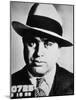 Al Capone, 1929-null-Mounted Photographic Print