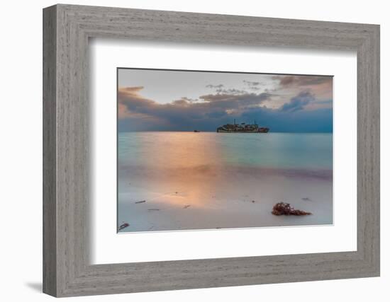 Al Fahad Shipwreck at Red Sea Shore of Jeddah, Saudi Arabia-Cavan Images-Framed Photographic Print