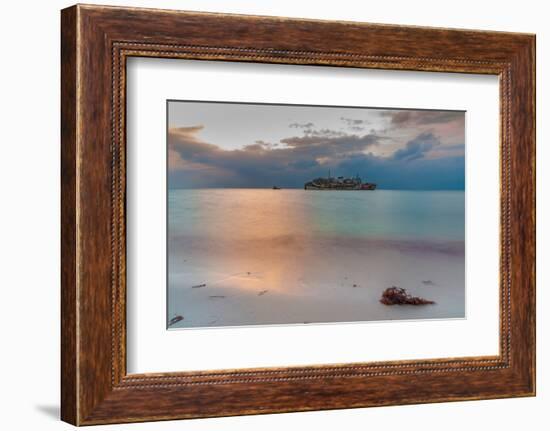 Al Fahad Shipwreck at Red Sea Shore of Jeddah, Saudi Arabia-Cavan Images-Framed Photographic Print