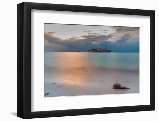 Al Fahad Shipwreck at Red Sea Shore of Jeddah, Saudi Arabia-Cavan Images-Framed Photographic Print