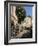 Al Fresco Restaurants, Place Forum Des Cardeurs, Aix-En-Provence, Bouches-Du-Rhone, Provence, Franc-Peter Richardson-Framed Photographic Print