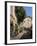 Al Fresco Restaurants, Place Forum Des Cardeurs, Aix-En-Provence, Bouches-Du-Rhone, Provence, Franc-Peter Richardson-Framed Photographic Print