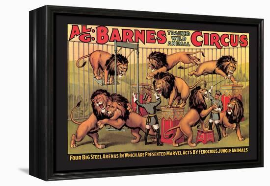 Al G. Barnes Trained Wild Animal Circus-null-Framed Stretched Canvas